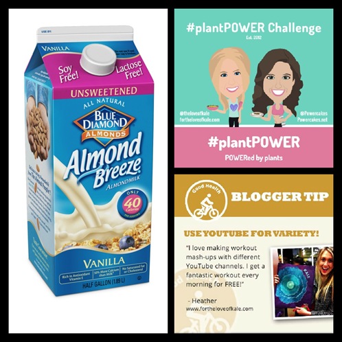 AlmondBreeze8