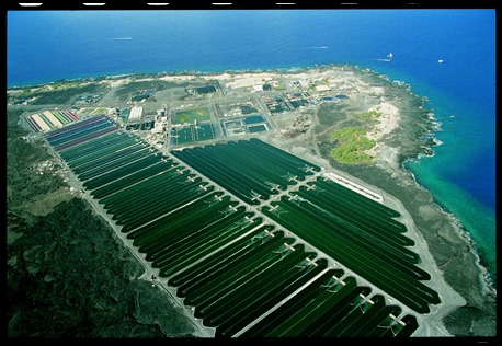 Aerial_Shot_A