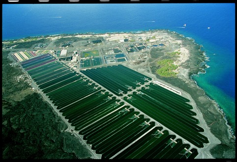 Aerial_Shot_A