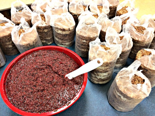 chia jam 2