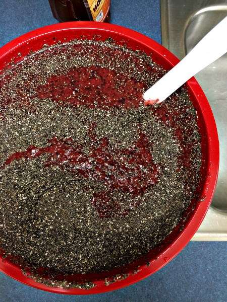 chia jam