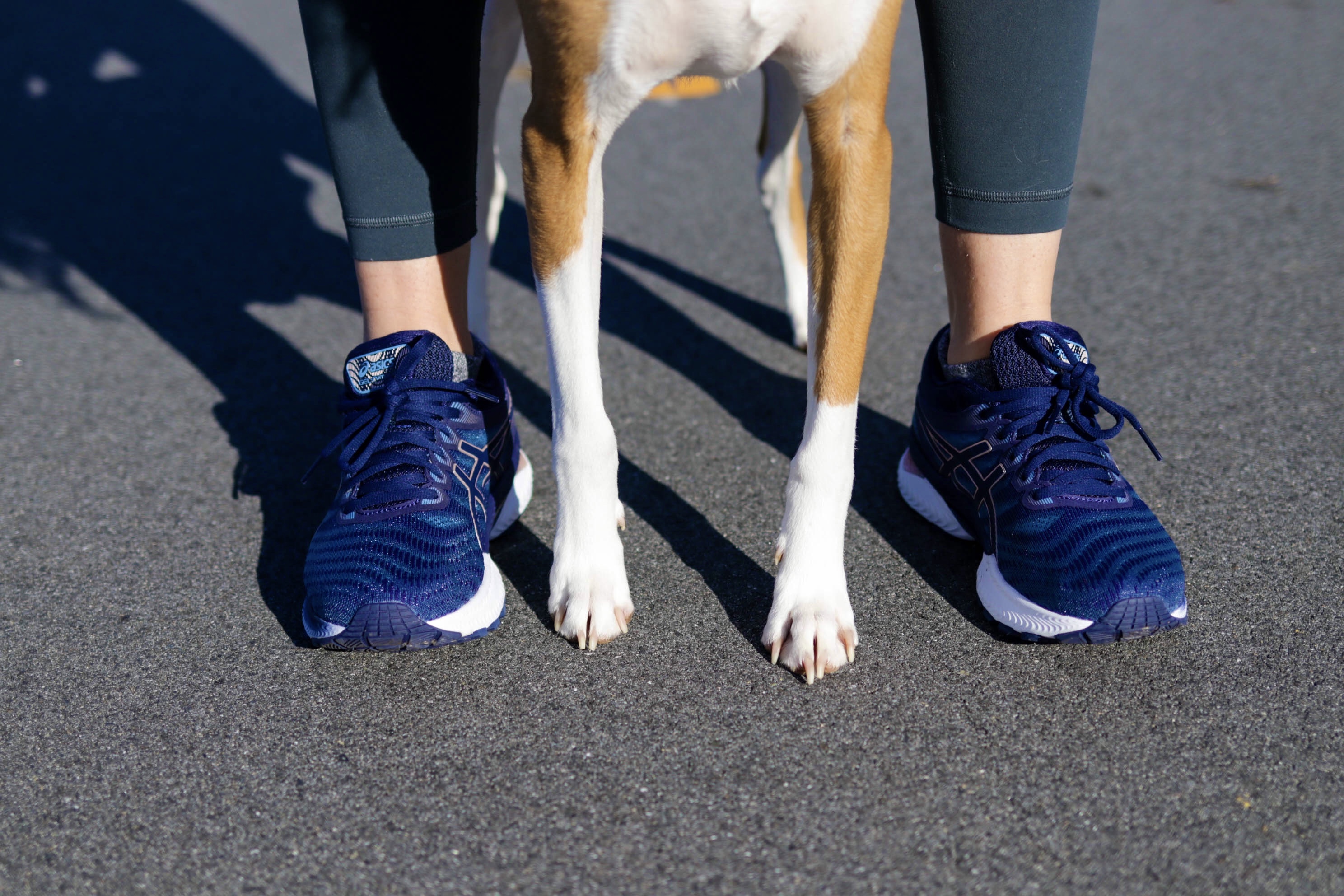 IMG_9072