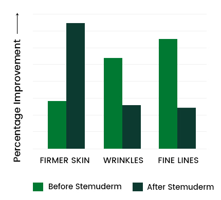 stemuderm Graph 02
