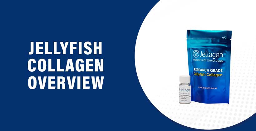 jellyfish-collagen