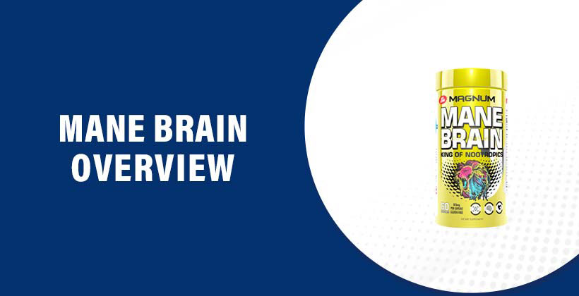 Mane Brain