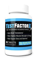 Test Factor X