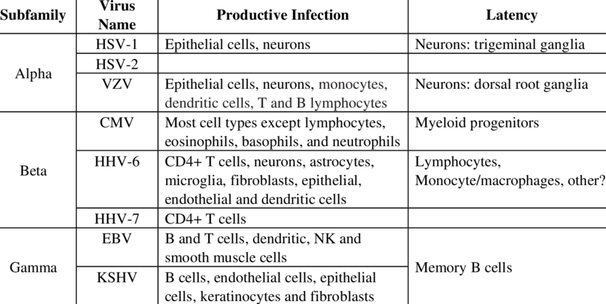 Genital Herpes