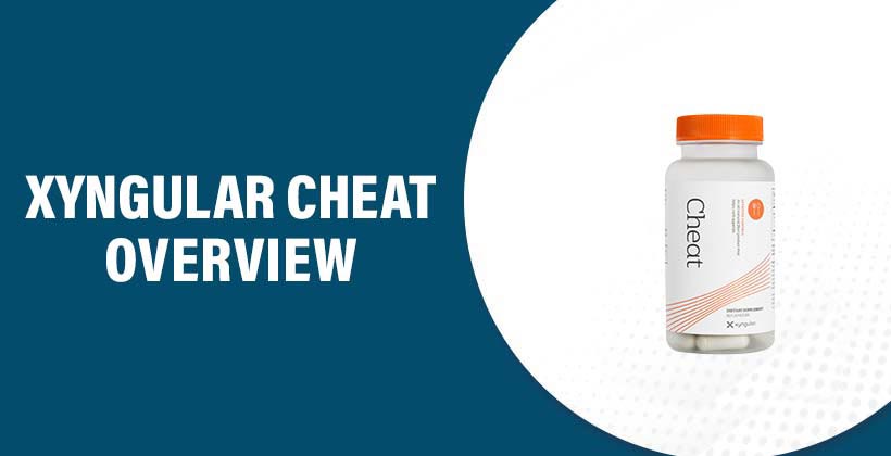 xyngular-cheat