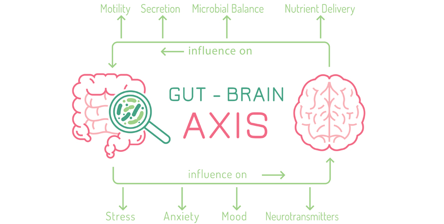 Gut Brain