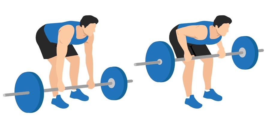 Pendlay And Barbell Row