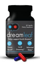 Dream Leaf