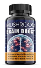 Mushroom Brain Boost
