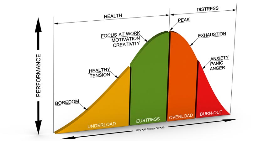 Eustress Vs. Distress - Factors