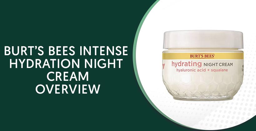 Burt's Bees Intense Hydration Night Cream