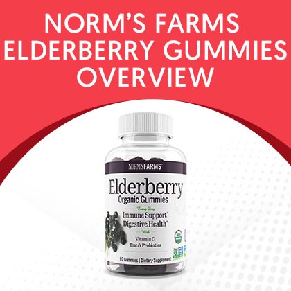 Norm’s Farms Elderberry Gummies
