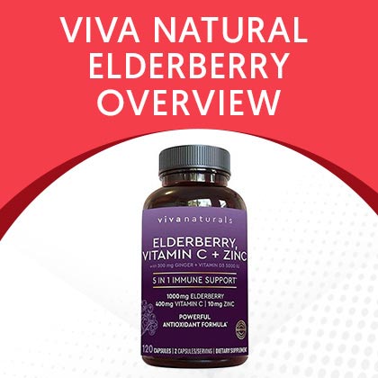 Viva Natural Elderberry