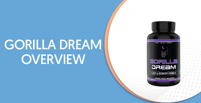 Gorilla Dream