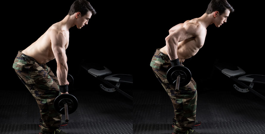 Barbell Bent Over Row