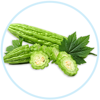 Bitter Melon