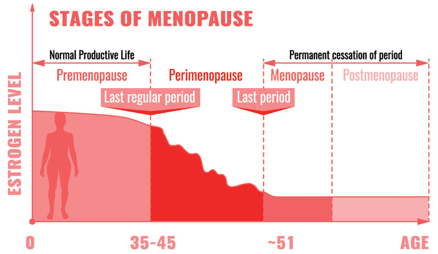 Different stages of menopause