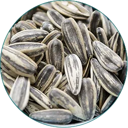 Biotin