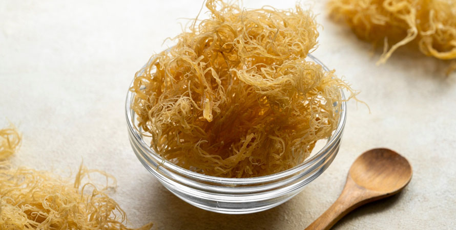 Sea Moss Benefits