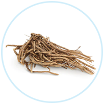 Valerian Root Extract