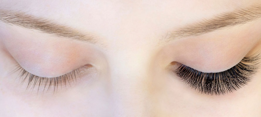 Eyelashes grow back