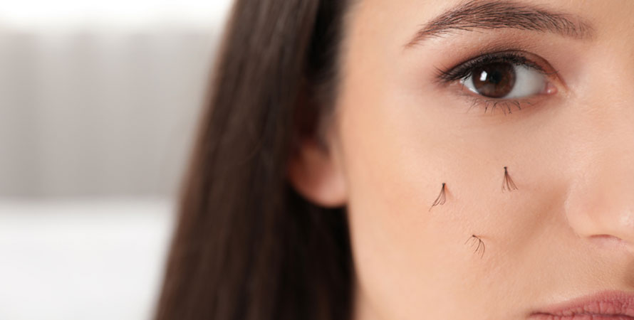 Eyelashes take to grow
