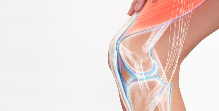 Symptoms of Knee Synovitis