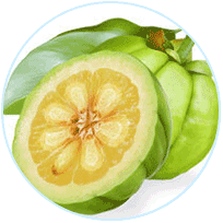 Garcinia Cambogia