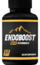 Endoboost