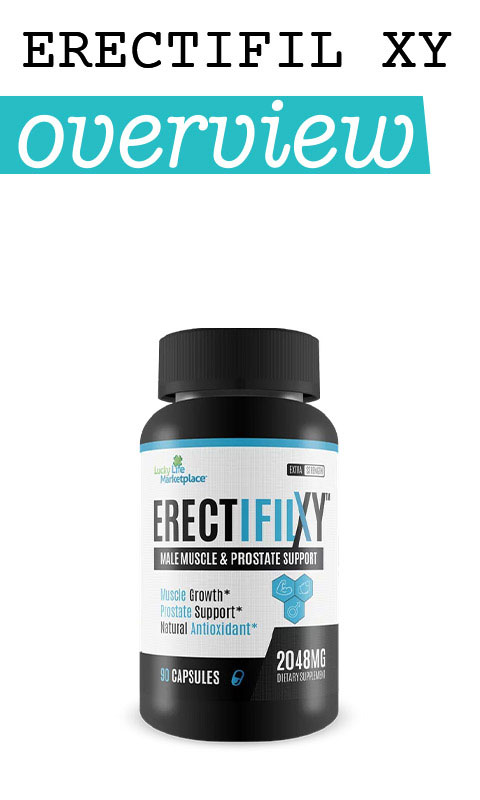Erectifil XY