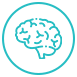 Promotes long-term brain health
