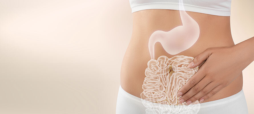 ACV Gummies – Apple Cider Vinegar Supplement for Gut Health
