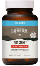 Roundhouse Gut Strike