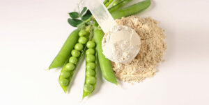 Plant Based Protein