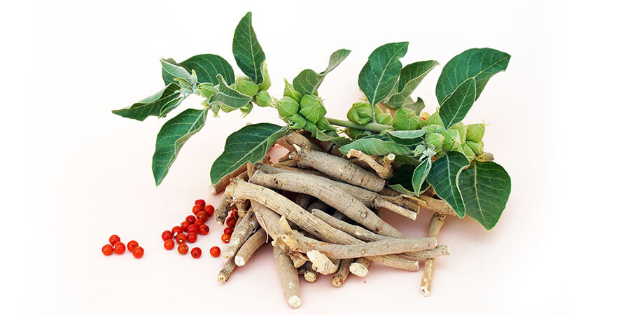 Gleeful Supplement Review – Ashwagandha Root for Hormone Balance