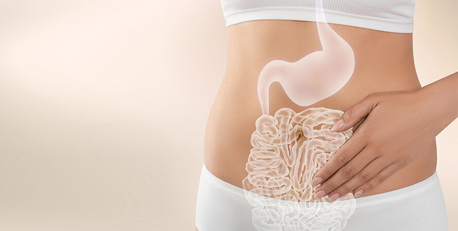 Happy Mammoth Review – Gut Health Support and Nutrient Balance