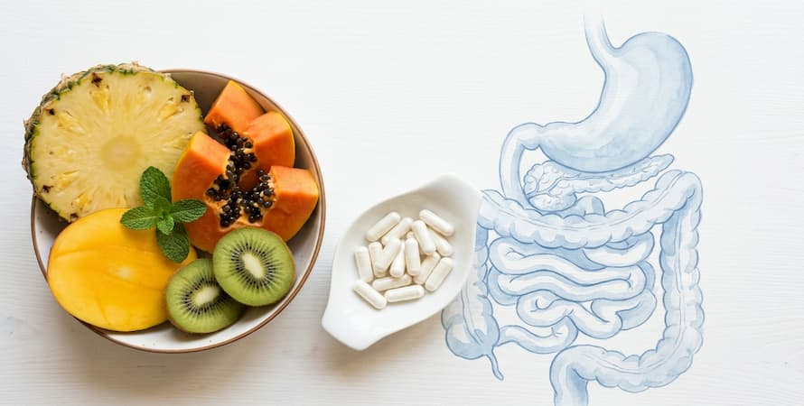 Probiotics vs Digestive Enzymes – What Are Digestive Enzymes?