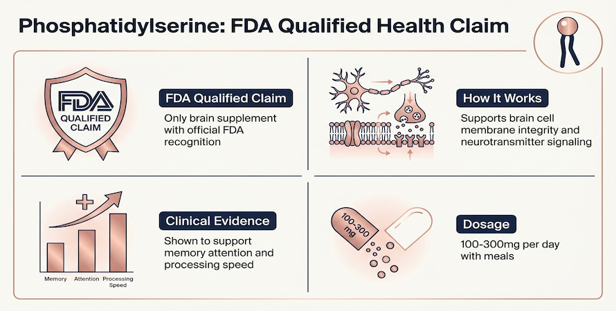 Phosphatidylserine – Brain Supplement With FDA Qualified Health Claim