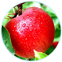 Arginine