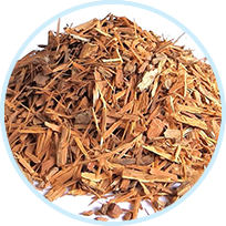 Erythroxylum Catuaba Bark Extract