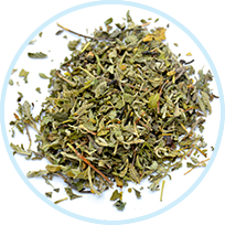 Damiana Leaf