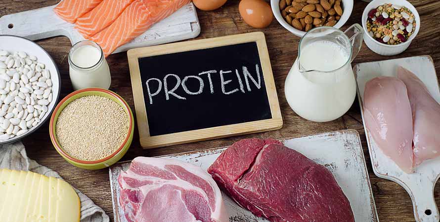 High Protein Diet
