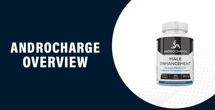 AndroCharge