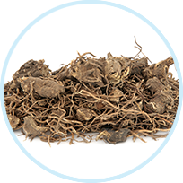 Black Cohosh