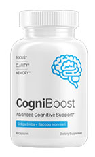 CogniBoost