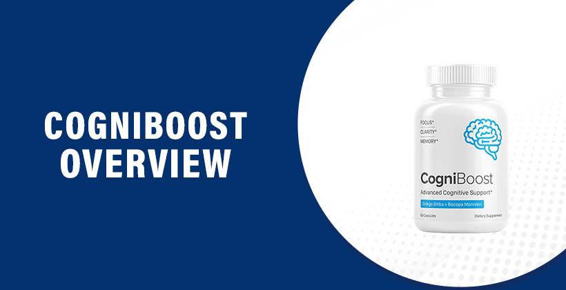 CogniBoost