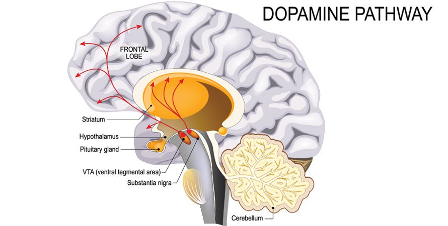 Dopamine